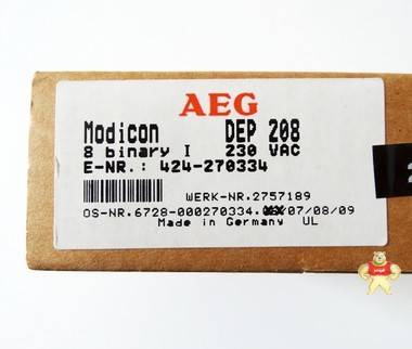 AEG Modicon DEP208 
