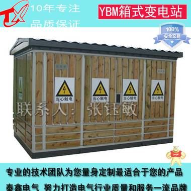 周口泰鑫ZBW-100KVA/10KV路灯箱式变电站厂家   周口箱变价格 箱式变电站,路灯箱变,箱变价格,河南箱变厂,箱变型号