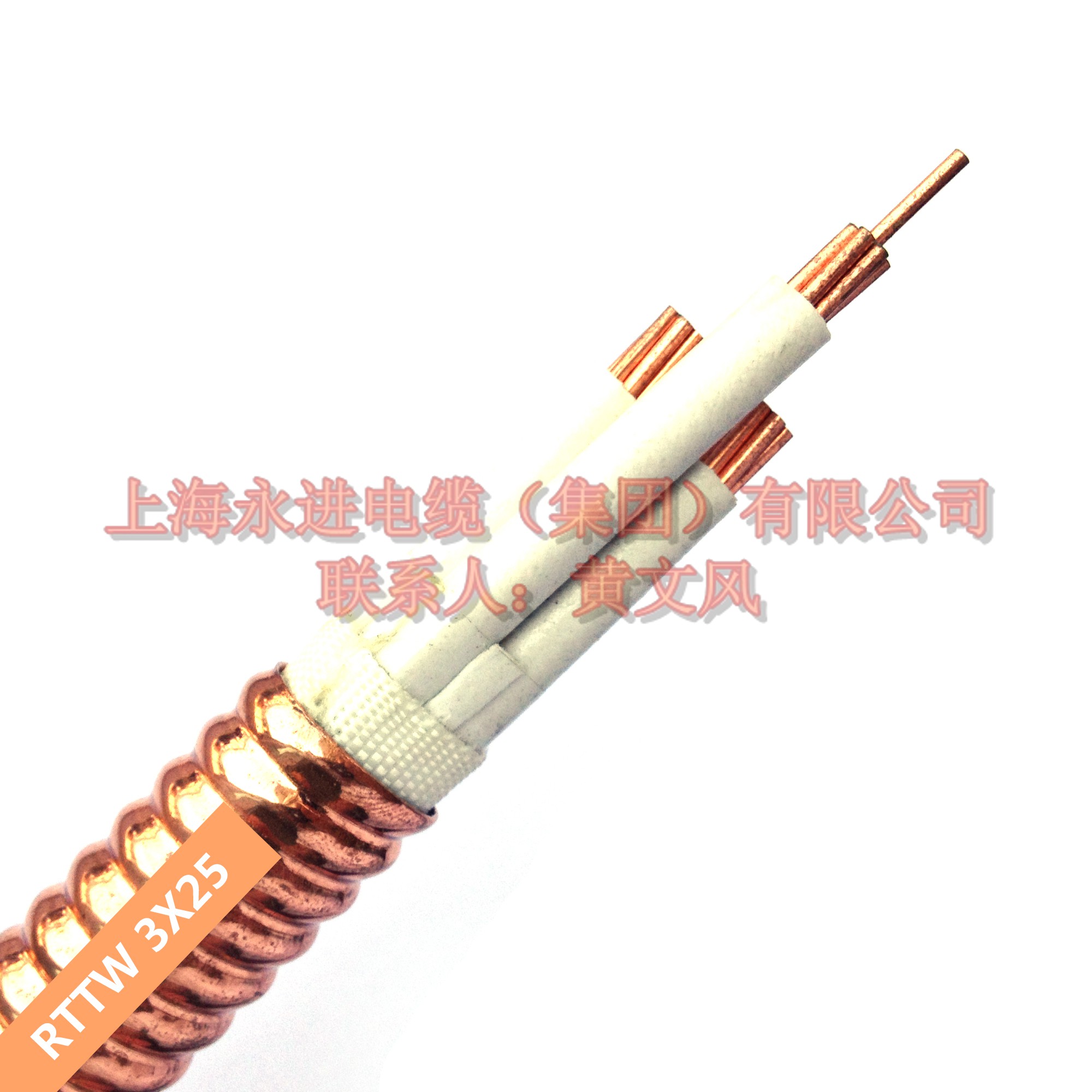 ShangJin 上进牌 铜护套矿物质防火电缆RTTW-3X25