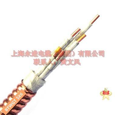 BTWGT-5X6铜护套柔性矿物复合绝缘防火电力电缆 