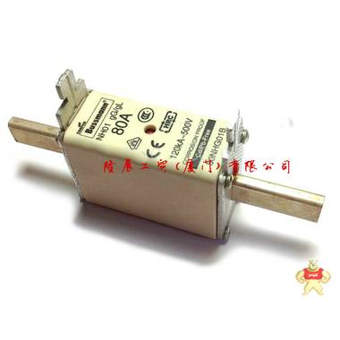 美國(guó)Bussmann熔斷器170M5809D巴斯曼熔斷器170M5809質(zhì)保一年 