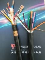 DJYVP22计算机电缆DJYPVP2X2X1.0