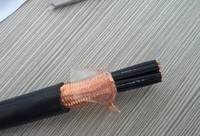 阻燃屏蔽控制電纜 天津市電纜總廠（總部）