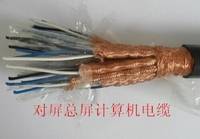 DJYPV计算机电缆 天津电缆