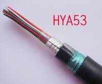 HYA53通讯电缆 天津市电缆总厂（总部）