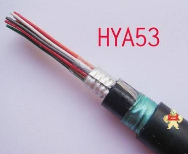 HYA53通訊電纜 天津電纜 