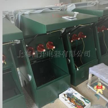 DFW-12/630A一進(jìn)三出 戶外高壓 歐式電纜分支箱 