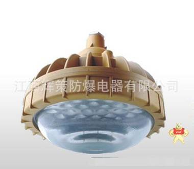 （江西辉策）专业生产防爆免维护BLED5637节能灯（LED）30W/80W 
