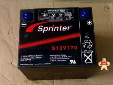 美国GNB蓄电池12V45AH 蓄电池厂家