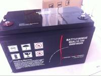 梅蘭日蘭蓄電池12V100AH