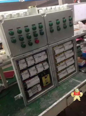 （辉策）供应防爆配电箱 (IIB、IIC)  BXM51系列照明动力箱 