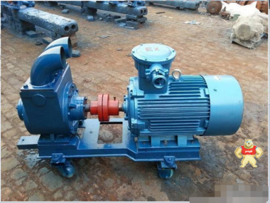 正规生产厂家长期生产100YPB-100滑片泵  甲醇输送叶片泵 泰盛泵业 