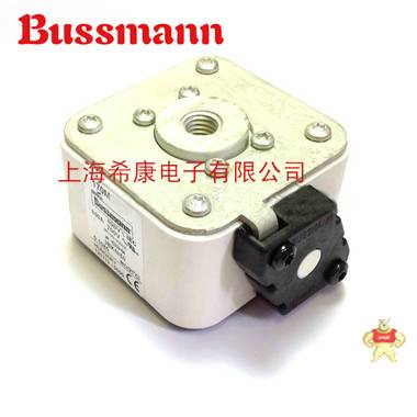 美国Bussmann熔断器170M6417 