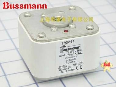 170M6409美國Bussmann熔斷器170M6409神速發(fā)貨 