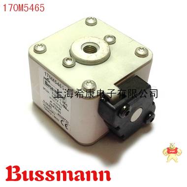 美国Bussmann熔断器170M5408 