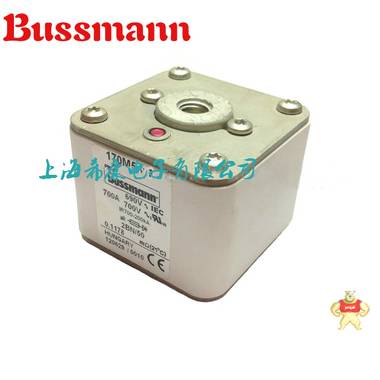 美国Bussmann熔断器170M5409 
