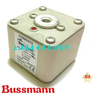 美国Bussmann熔断器170M5410 