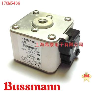 美国Bussmann熔断器170M5412 