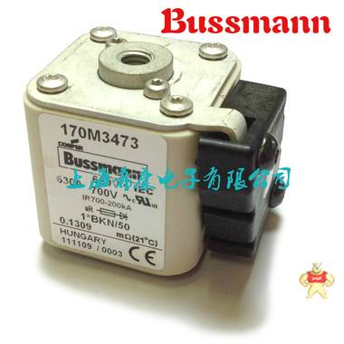 美国Bussmann熔断器170M3416 