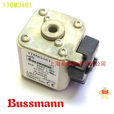 美國Bussmann熔斷器170M3416 