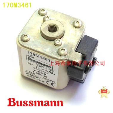 美国Bussmann熔断器170M3459 