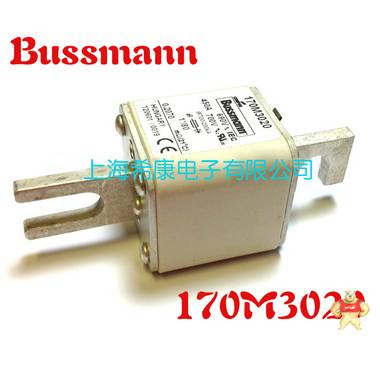 美国Bussmann熔断器170M3010 
