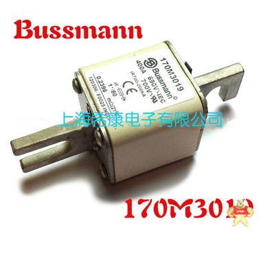 美国Bussmann熔断器170M3010 