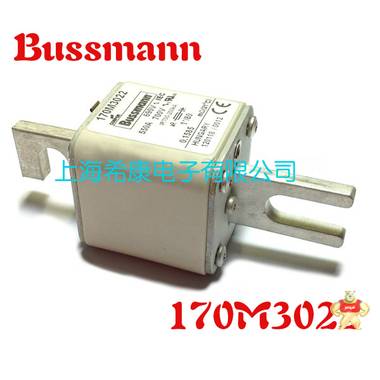 美国Bussmann熔断器170M3011 