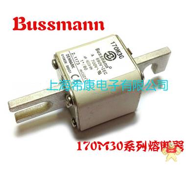 美国Bussmann熔断器170M3014 