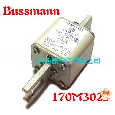 美国Bussmann熔断器170M3016 