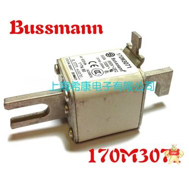 美国Bussmann熔断器170M3058 