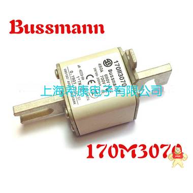 美国Bussmann熔断器170M3070 