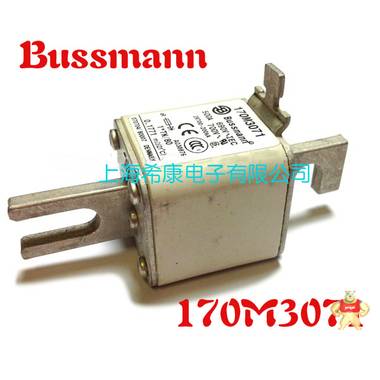 美國(guó)Bussmann熔斷器170M3069 