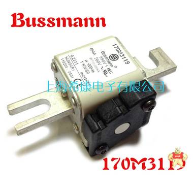 美国Bussmann熔断器170M3111 