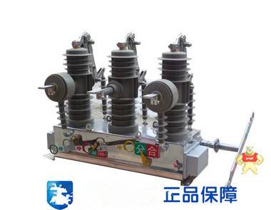 ZW32-24g真空断路器 