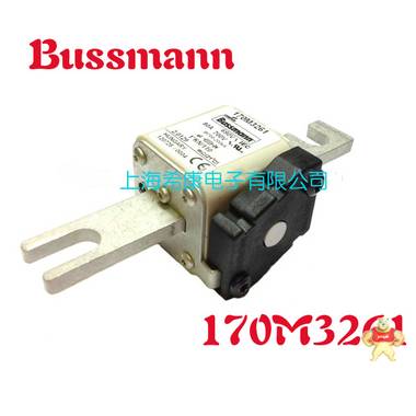 美国Bussmann熔断器170M3208 