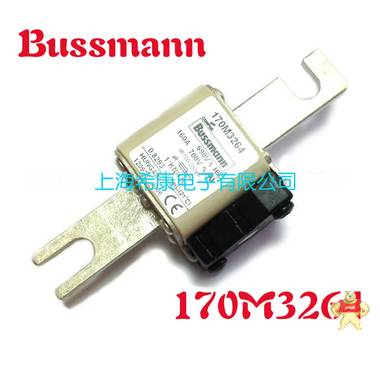 美国Bussmann熔断器170M3208 