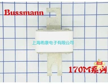 美国Bussmann熔断器170M6015 