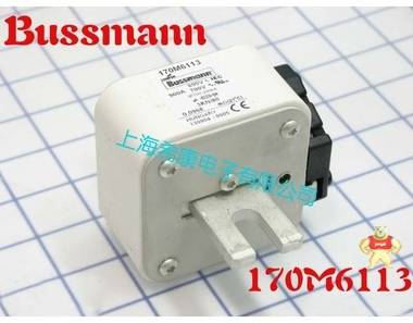 美國Bussmann熔斷器170M6113 