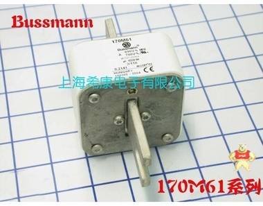 美國Bussmann熔斷器170M6113 