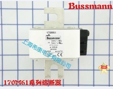 美國Bussmann熔斷器170M6113 