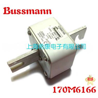 美国Bussmann熔断器170M6166 