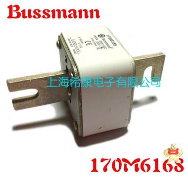 美国Bussmann熔断器170M6166 