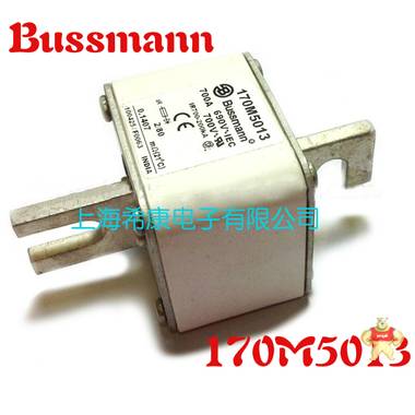 美国Bussmann熔断器170M5011 