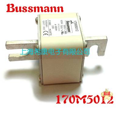 美国Bussmann熔断器170M5015 