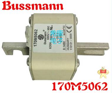 美国Bussmann熔断器170M5066 