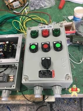 LBZ-10A2D2B1K1防爆操作柱 