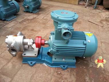 河北沧州供应KCB-83.3齿轮油泵 不锈钢齿轮泵 小型 泰盛泵业 
