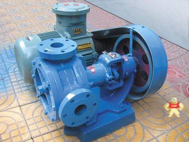 安平县齿轮泵厂 供应泰盛NCB60-0.5内啮合齿轮泵 