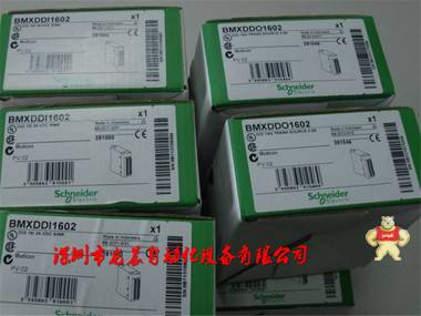 全新原裝現(xiàn)貨BMXDDI1602施耐德輸入模塊BMXDDI1602 